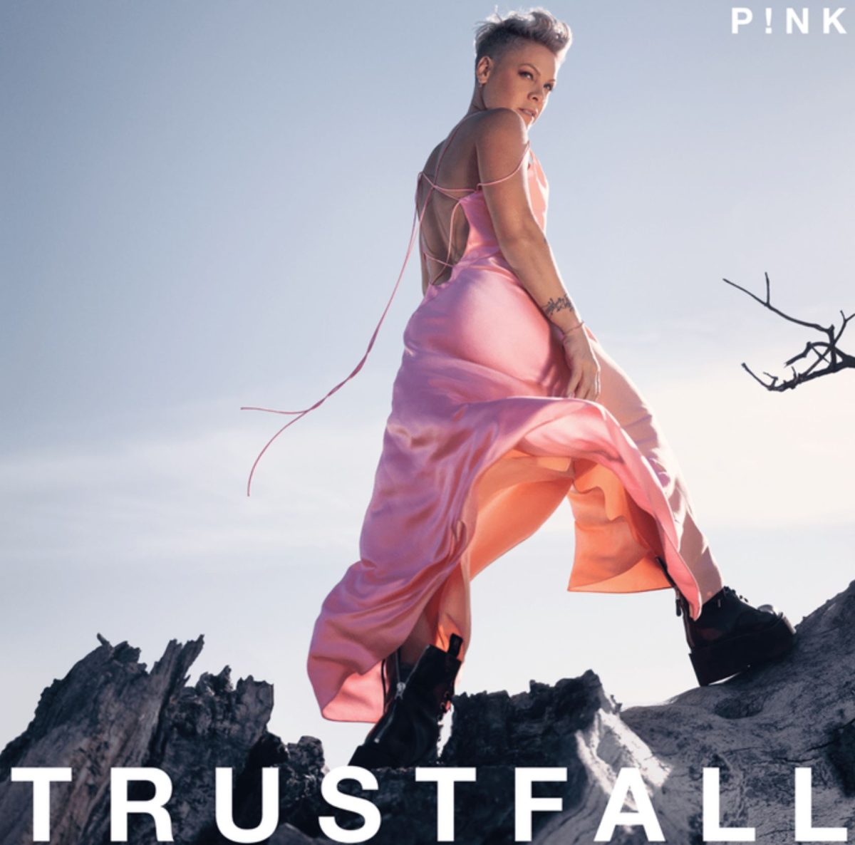 trustfall traduzione pink testo